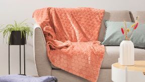 ALDI Plaid aanbieding