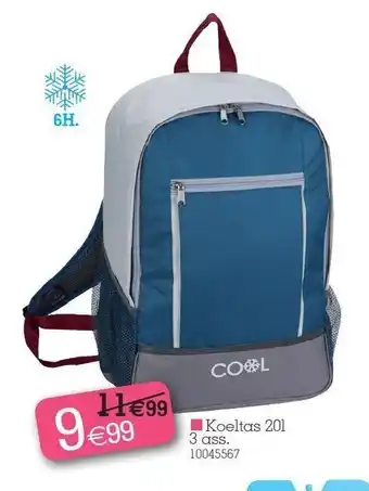 Koeltas 201 3 ass 10045567