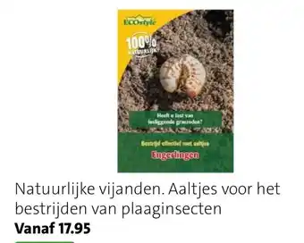 Intratuin Ecostyle Natuurlijke Vijanden. Aaltjes voor Het Bestrijden van Plaaginsecten aanbieding