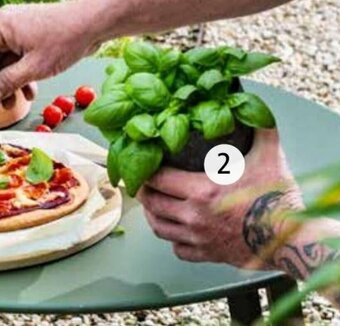 Intratuin Biologische Keukenkruiden aanbieding