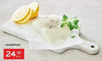 Alvo Heilbotfilet aanbieding