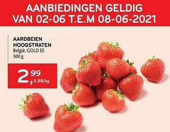 Alvo Aardbeien hoogstraten aanbieding