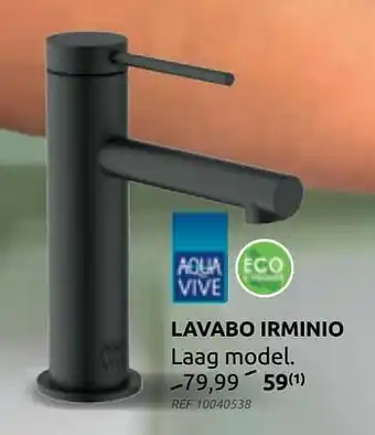 Lavabo irminio