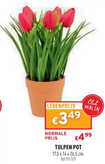 Tulpen pot 17.5*14*26.5 cm
