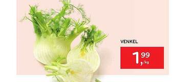 Venkel