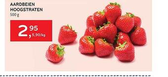 Alvo Aardbeien Hoogstraten aanbieding
