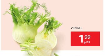 Alvo Venkel aanbieding