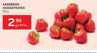 Alvo Aardbeien Hoogstraten 500g aanbieding