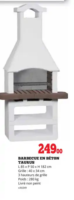 Barbecue En Beton Taurus
