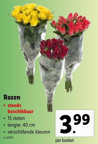 Lidl Rozen aanbieding