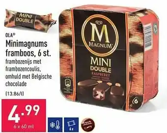 Minimagnums framboos