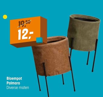 Kwantum Bloempot Palmaro aanbieding