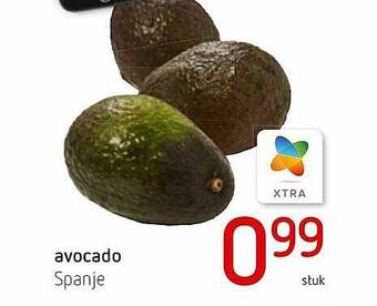 Avocado