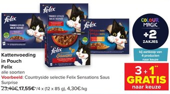 Carrefour Kattenvoeding in Pouch Felix aanbieding