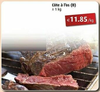 Côte à l`os