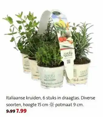 Italiaanse kruiden, 6 stuks in draagtas