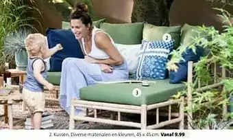 Intratuin Kussen aanbieding