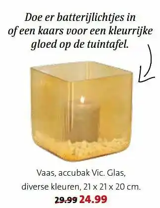 Vaas, accubak vic