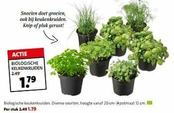 Biologische keukenkruiden