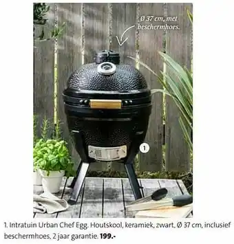 Intratuin urban chef egg