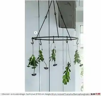 Intratuin Bloemen- en kruidendroger aanbieding
