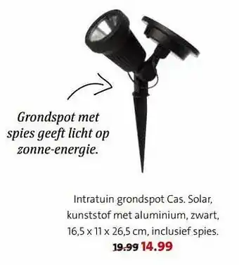 Intratuin Intratuin grondspot cas aanbieding