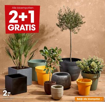 Kwantum Alle bloempotten aanbieding