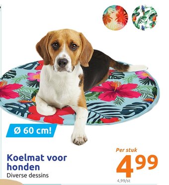 Action Koelmat voor honden aanbieding