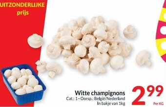 Witte champignons
