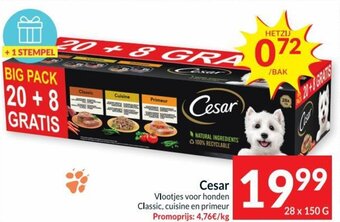 Cesar Vlootjes voor honden