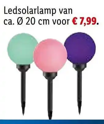 Lidl Ledsolarlamp 20cm aanbieding