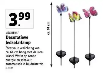 Lidl Decoratieve ledsolarlamp 64cm aanbieding