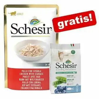 Zooplus 24 x 85 g Schesir in Gelei + 350g Cat Dry Natural Selection Adult Tuna - Kitten Kipfilet aanbieding