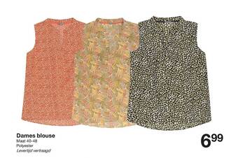 Zeeman Dames Blouse aanbieding