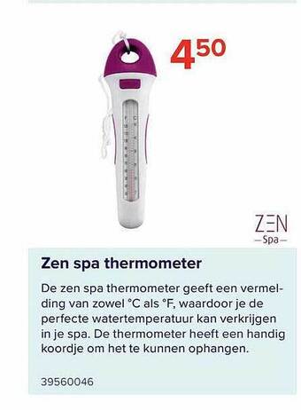 Zen Spa Thermometer