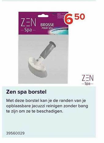 Euroshop Zen Spa Borstel aanbieding