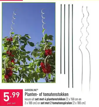 ALDI Planten Of Tomatenstokken aanbieding