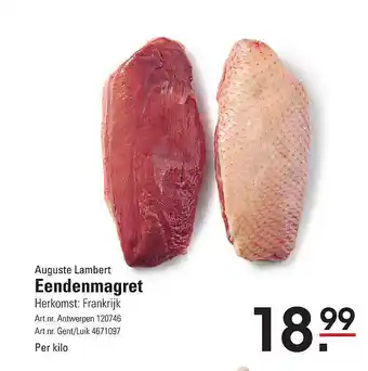 Auguste Lambert Eendenmagret