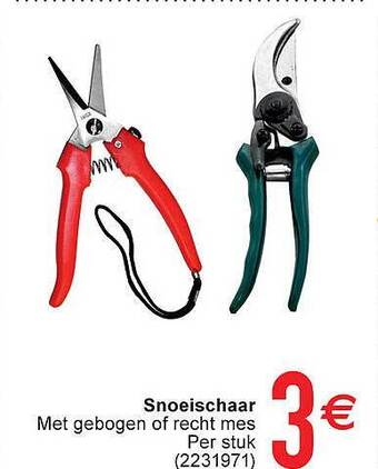 Cora Snoeischaar aanbieding