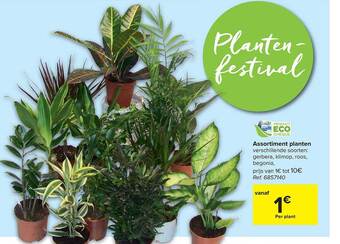 Assortiment Planten