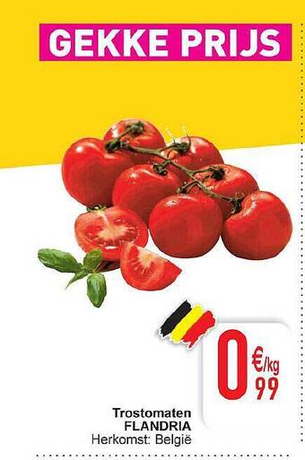 Cora Trostomaten Flandria aanbieding