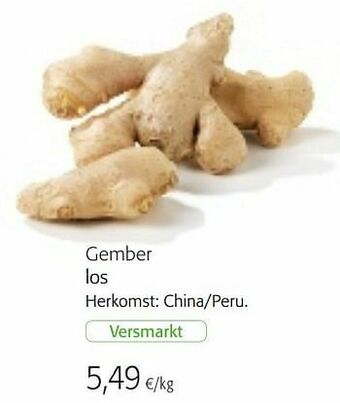 Gember