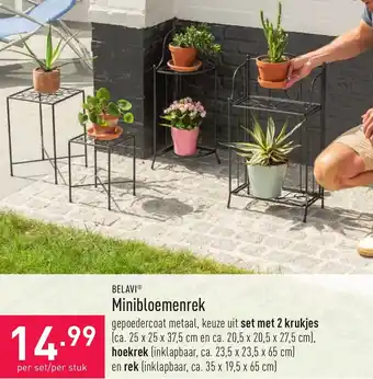 ALDI Belavi minibloemenrek aanbieding