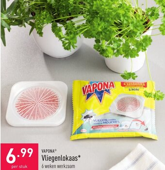 ALDI Vapona vliegenlokaas aanbieding