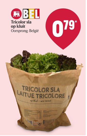 Delhaize Tricolor sla op kluit aanbieding