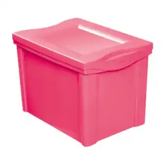 Caixa organizadora 30,7x42,5x30,5cm rosa 30l radical color ordene