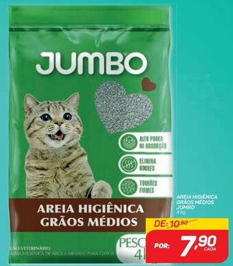 GBarbosa Areia higiênica grãos médios jumbo 4kg oferta