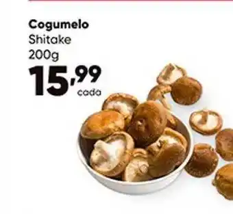Cogumelo Shitake