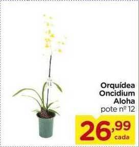 Carrefour Orquidea Oncidium Aloha oferta