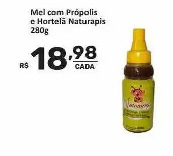 Mel Com Própolis E Hortelã Naturapis
